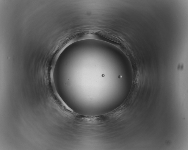 X0000111230524200907021402