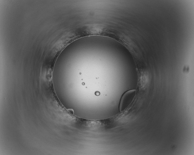 X0000111230525200907021402