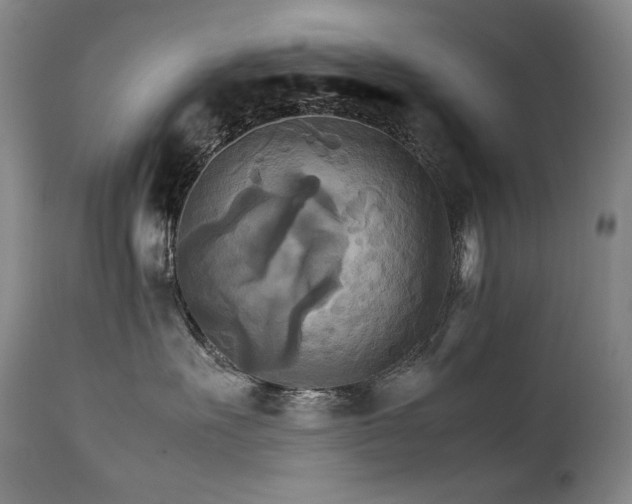 X0000111230527200907021402