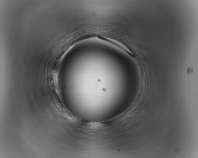 X0000111230528200907021402