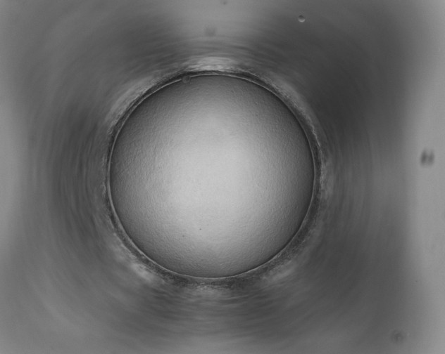 X0000111230529200907021401
