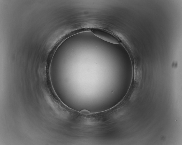X0000111230531200907021401