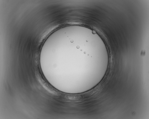 X0000111230533200907021401