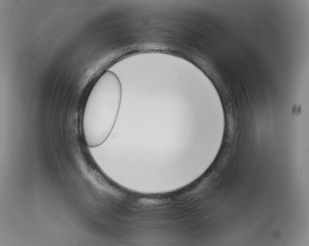 X0000111230534200907021401