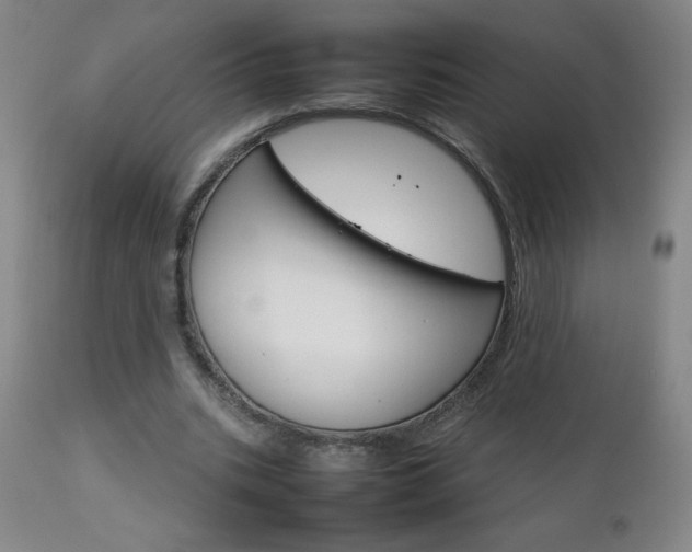 X0000111230535200907021401