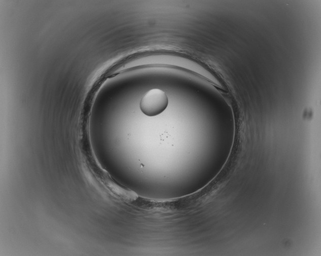 X0000111230536200907021401