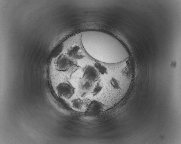 X0000111230537200907021401