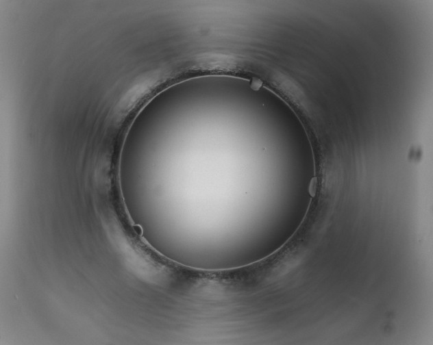 X0000111230538200907021401