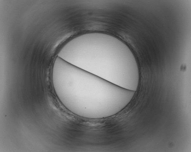 X0000111230539200907021401