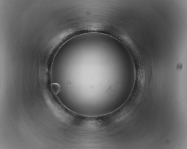 X0000111230540200907021401