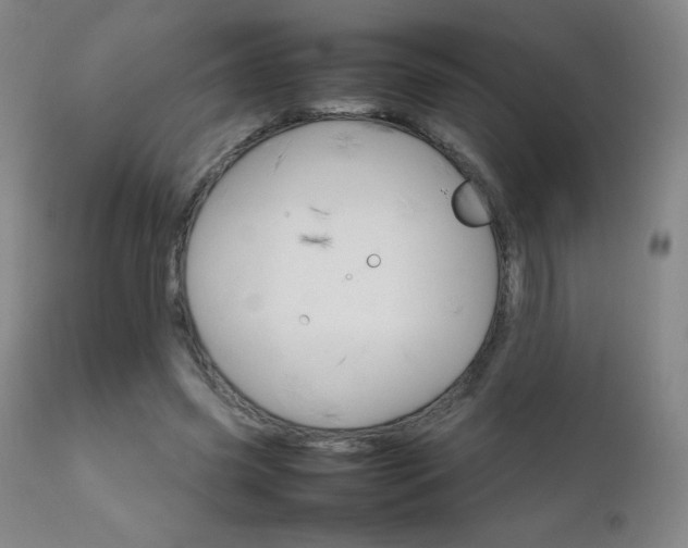 X0000111230541200907021401