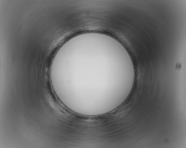 X0000111230542200907021401