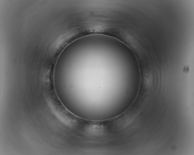 X0000111230543200907021401