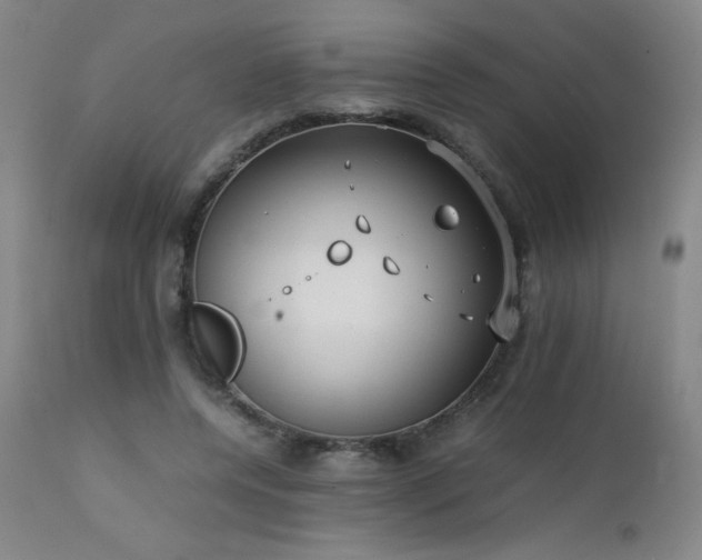 X0000111230544200907021401