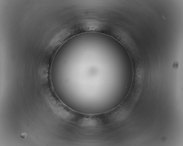 X0000111230545200907021401