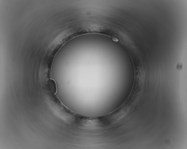 X0000111230548200907021401