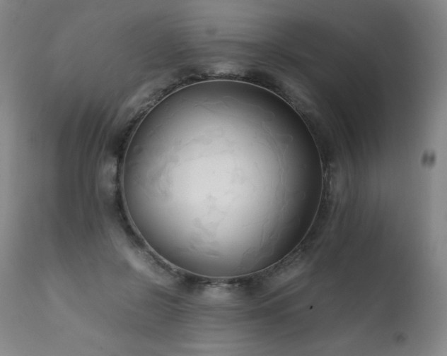 X0000111230550200907021401