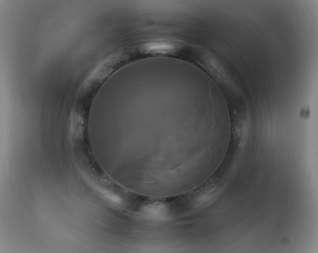 X0000111230551200907021401