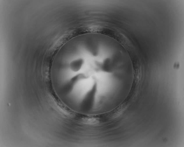 X0000111230553200907021401