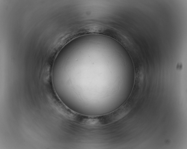 X0000111230554200907021401