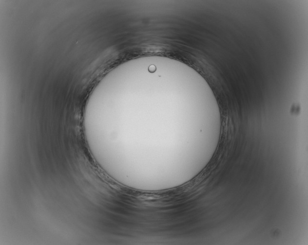 X0000111230557200907021401