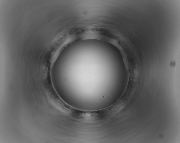 X0000111230558200907021401