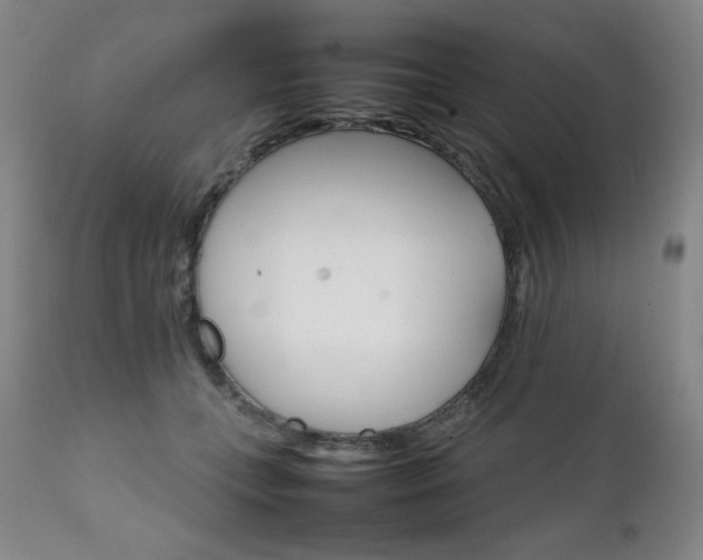 X0000111230559200907021401
