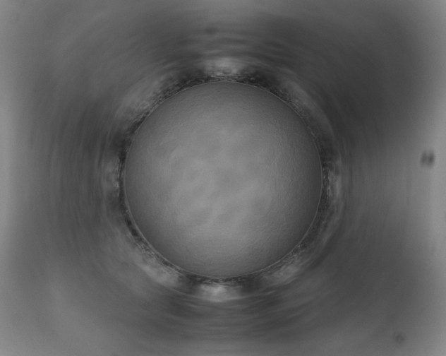 X0000111230561200907021401