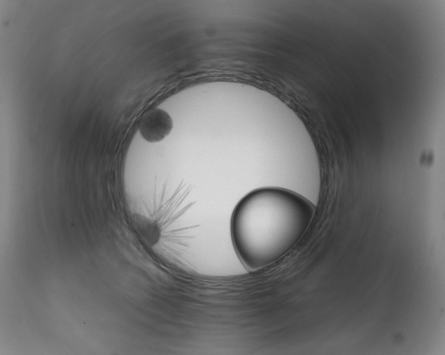 X0000111230562200907021401
