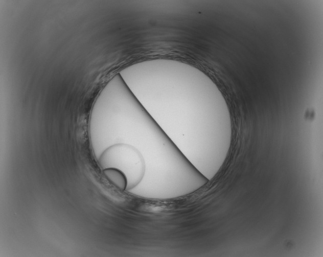X0000111230563200907021401