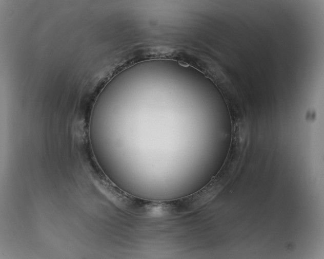 X0000111230564200907021401