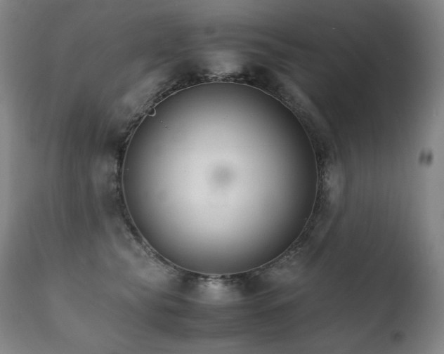 X0000111230565200907021401