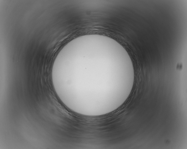 X0000111230566200907021401