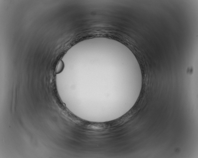 X0000111230567200907021401