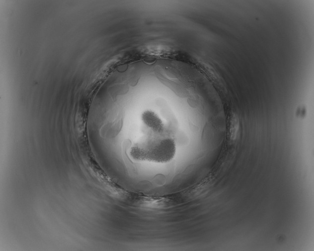 X0000111230569200907021401