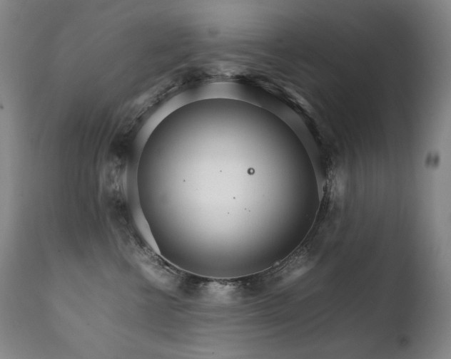 X0000111230570200907021401