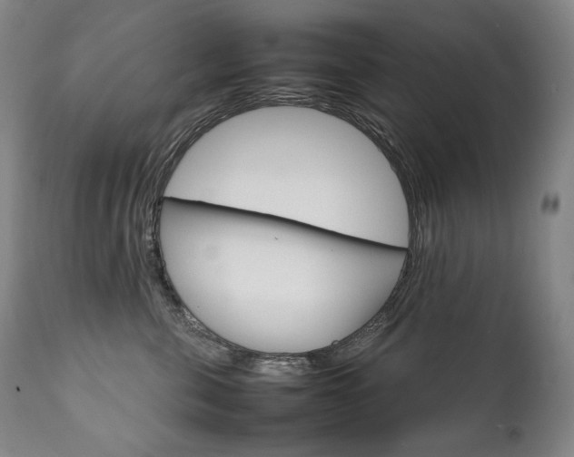 X0000111230571200907021401