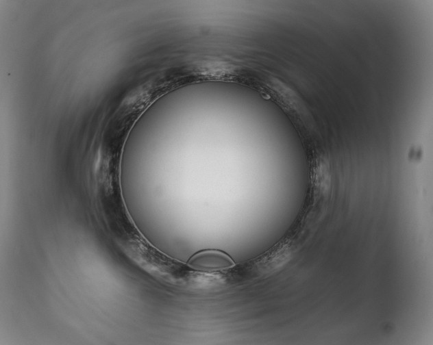 X0000111230572200907021401