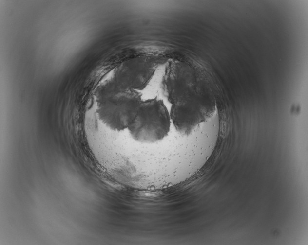 X0000111230573200907021402