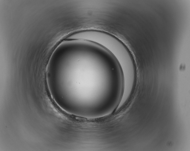 X0000111230577200907021401