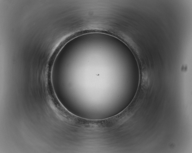 X0000111230580200907021401
