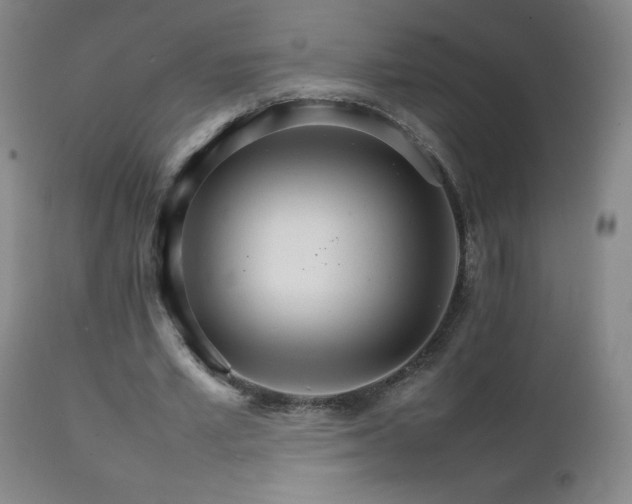 X0000111230581200907021401