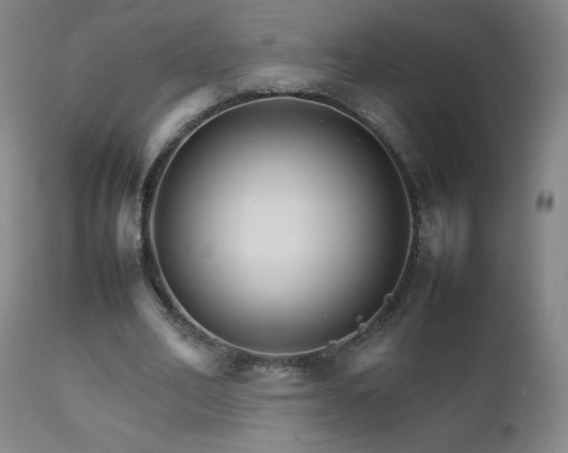 X0000111230582200907021401