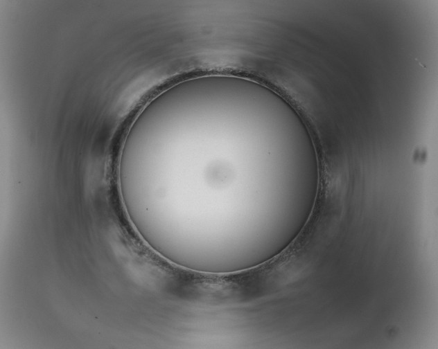 X0000111230583200907021401