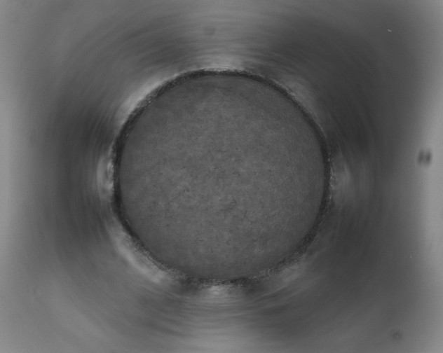 X0000111230584200907021401