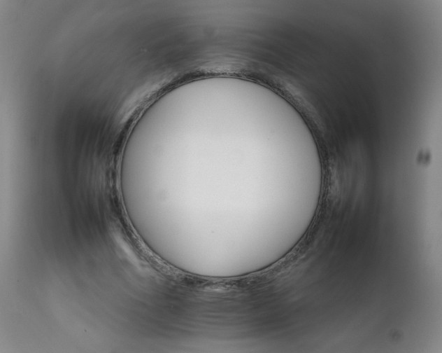 X0000111230586200907021401