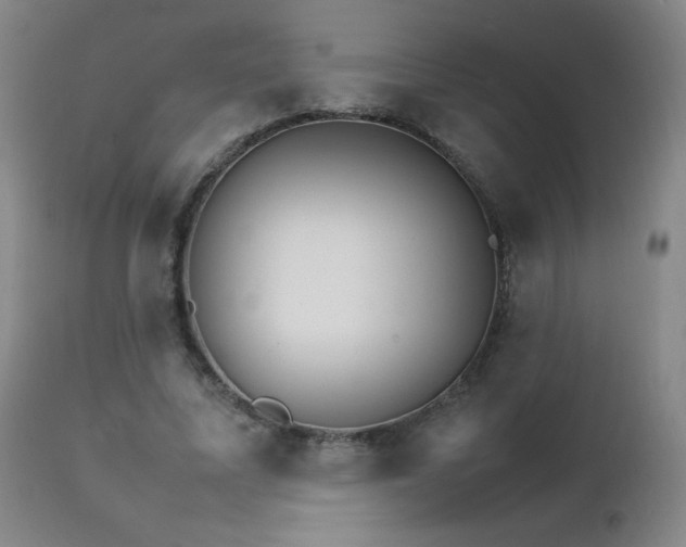 X0000111230587200907021401