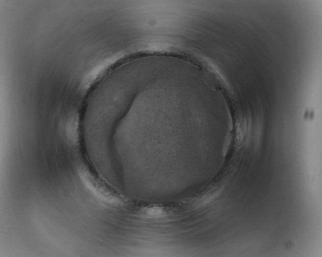 X0000111230588200907021401