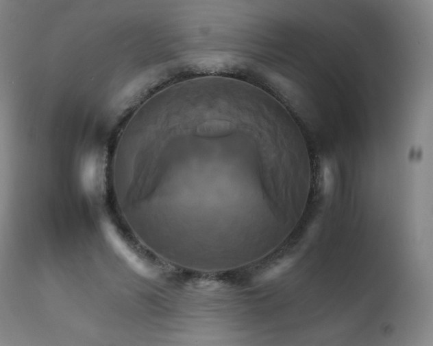 X0000111230590200907021401