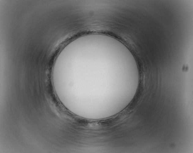 X0000111230591200907021401
